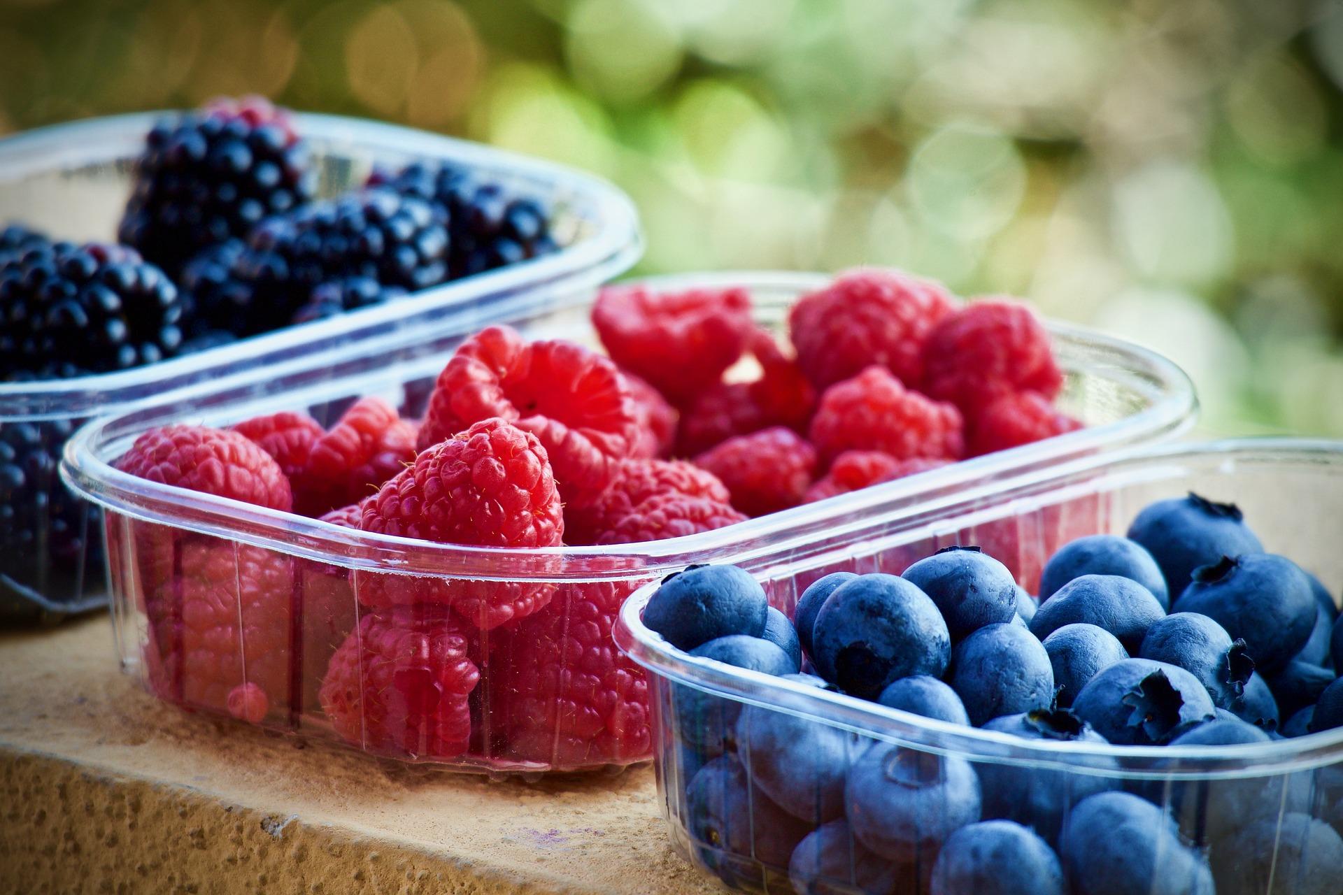 Variety of berries ready for preservation