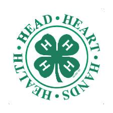 4-H Clover