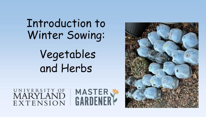 Charles County Master Gardeners Introduction to Winter Sowing 3.8.2025