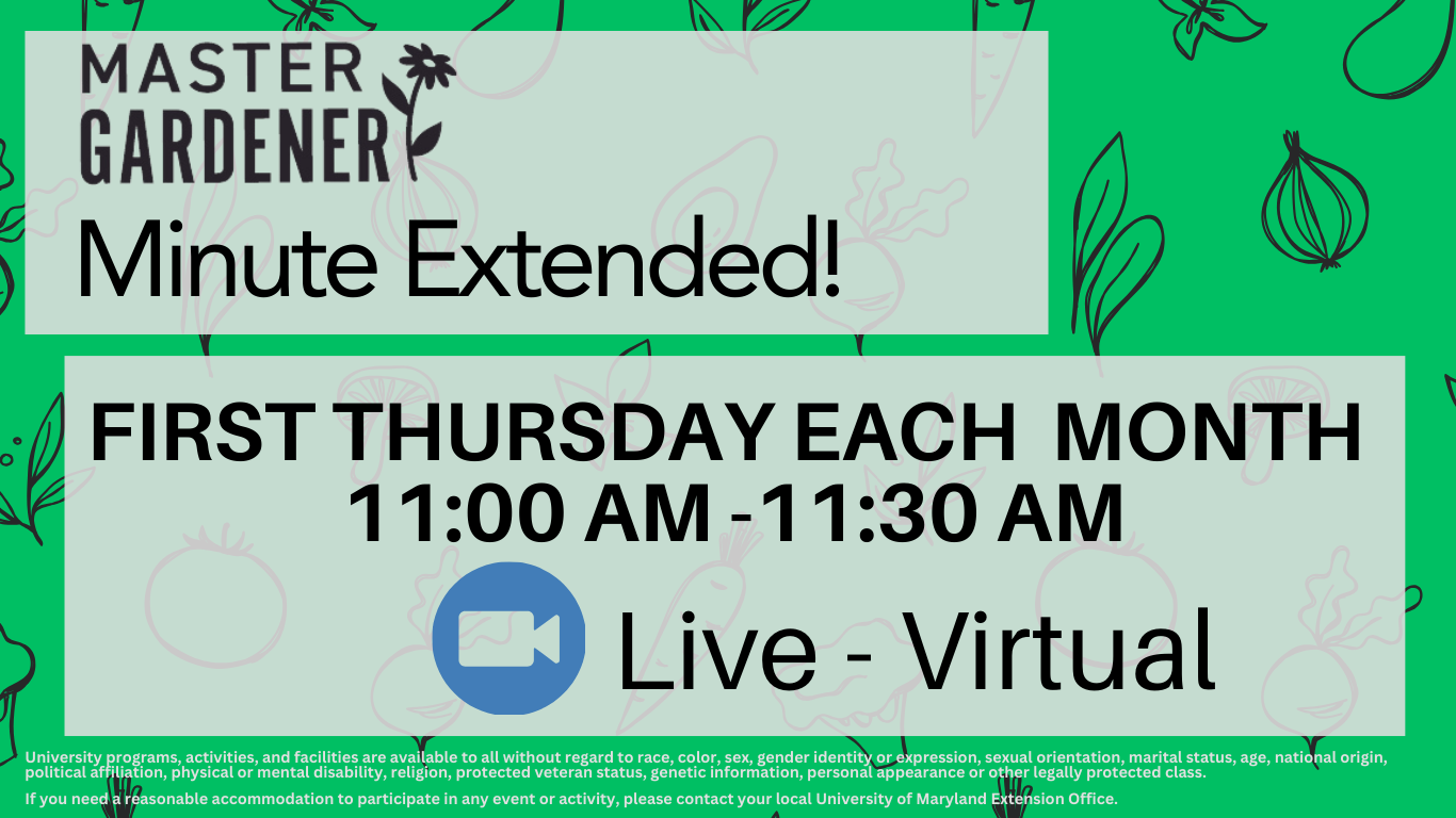 Master Gardener Minute Extended - Allegany County  MG