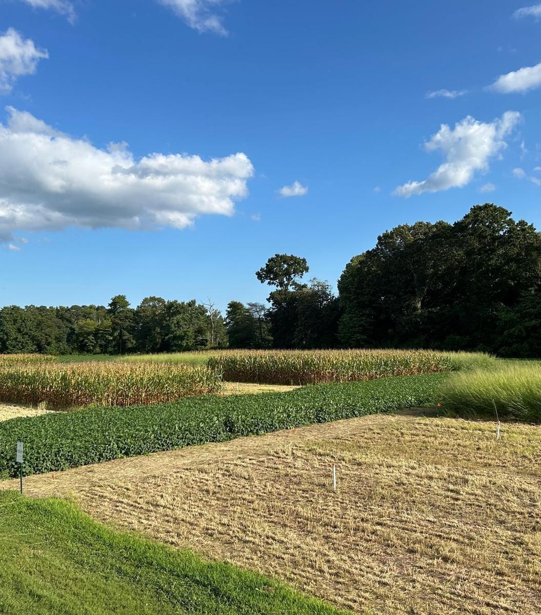 Image of field study at LESREC