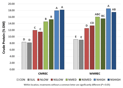 A bar graph displaying the results of forage protien content from triticale forage plots.