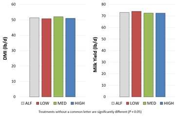 A bar graph displaying the dry matter intake (left) and milk yield (right) for dairy cows consuming the control (ALF) OR TRITICALE (LOW, MED, HIGH) dietary treatments.