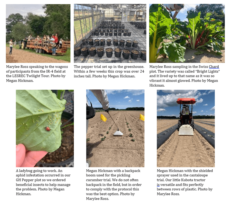 Individual research pictures