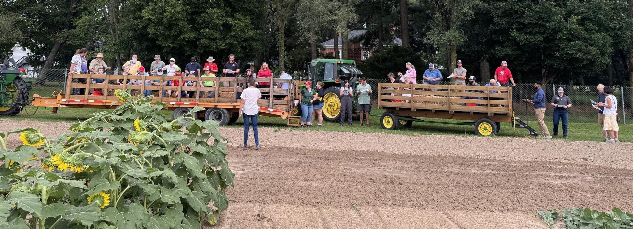 Marylee Ross talking to guests 