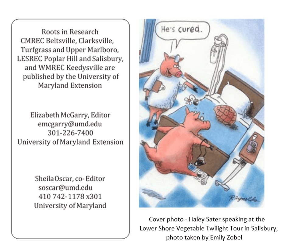 Page 2 as a whole in photo