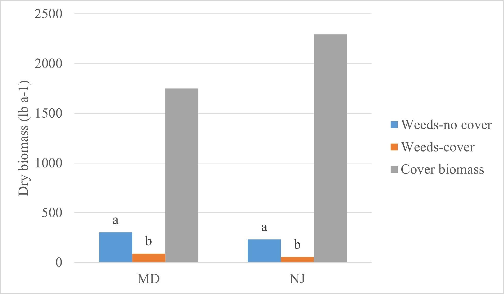 Bar graph on weed biomass in an oat cover crop and no cover crop relative to cover crop biomass in watermelon trials in 2023.