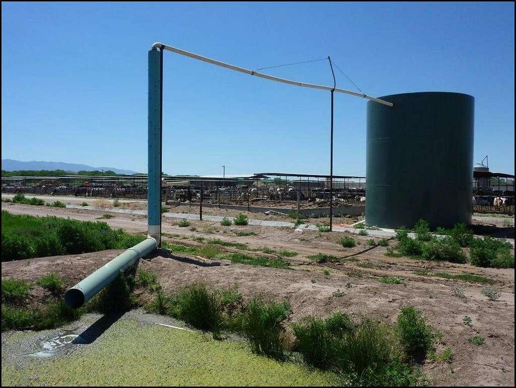 Anaerobic digester with discharge pipe that feeds into a wetland