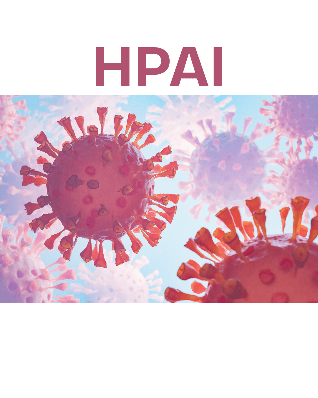 HPAI