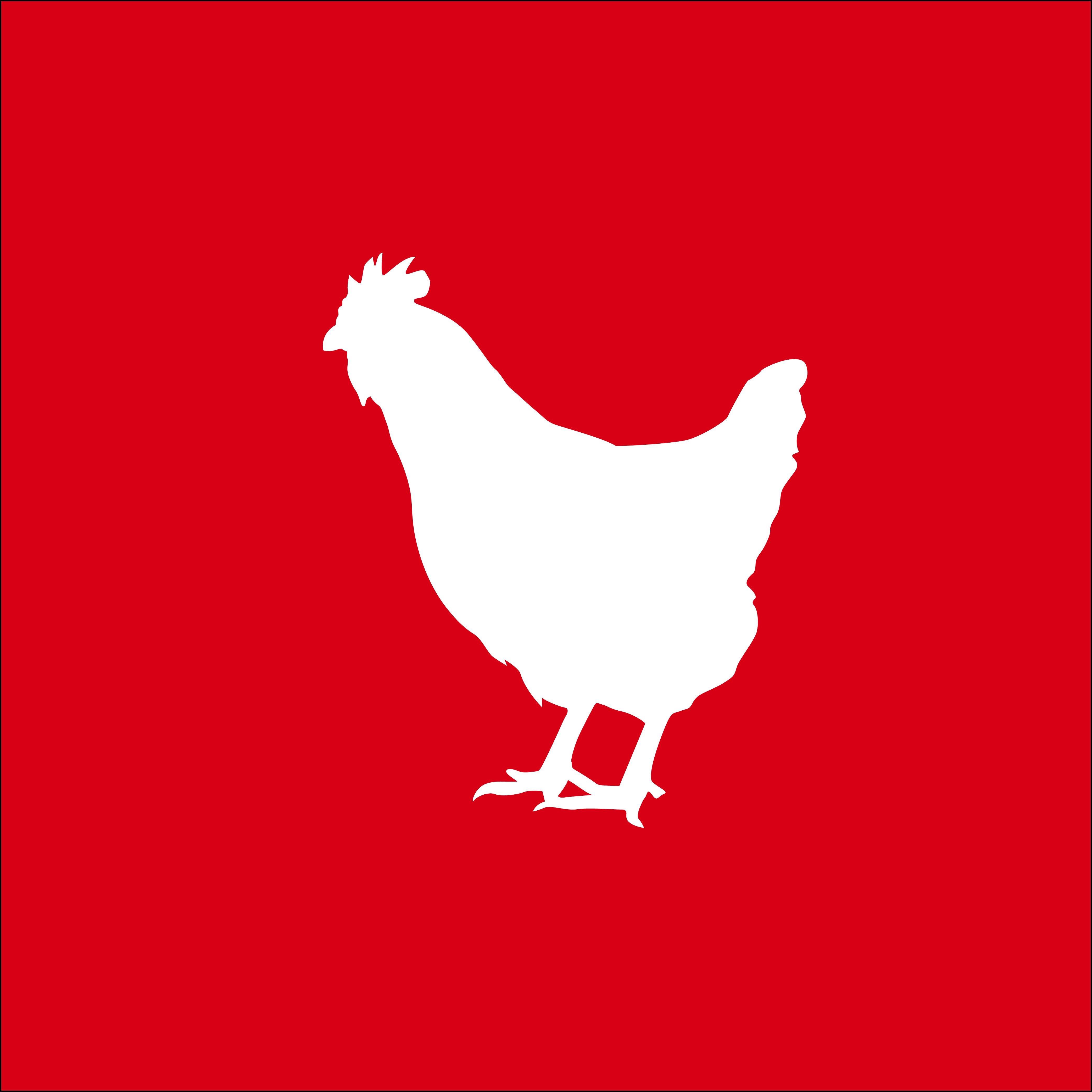 Chicken Icon