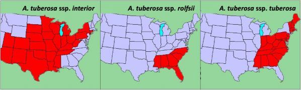 butterfly milkweed range maps