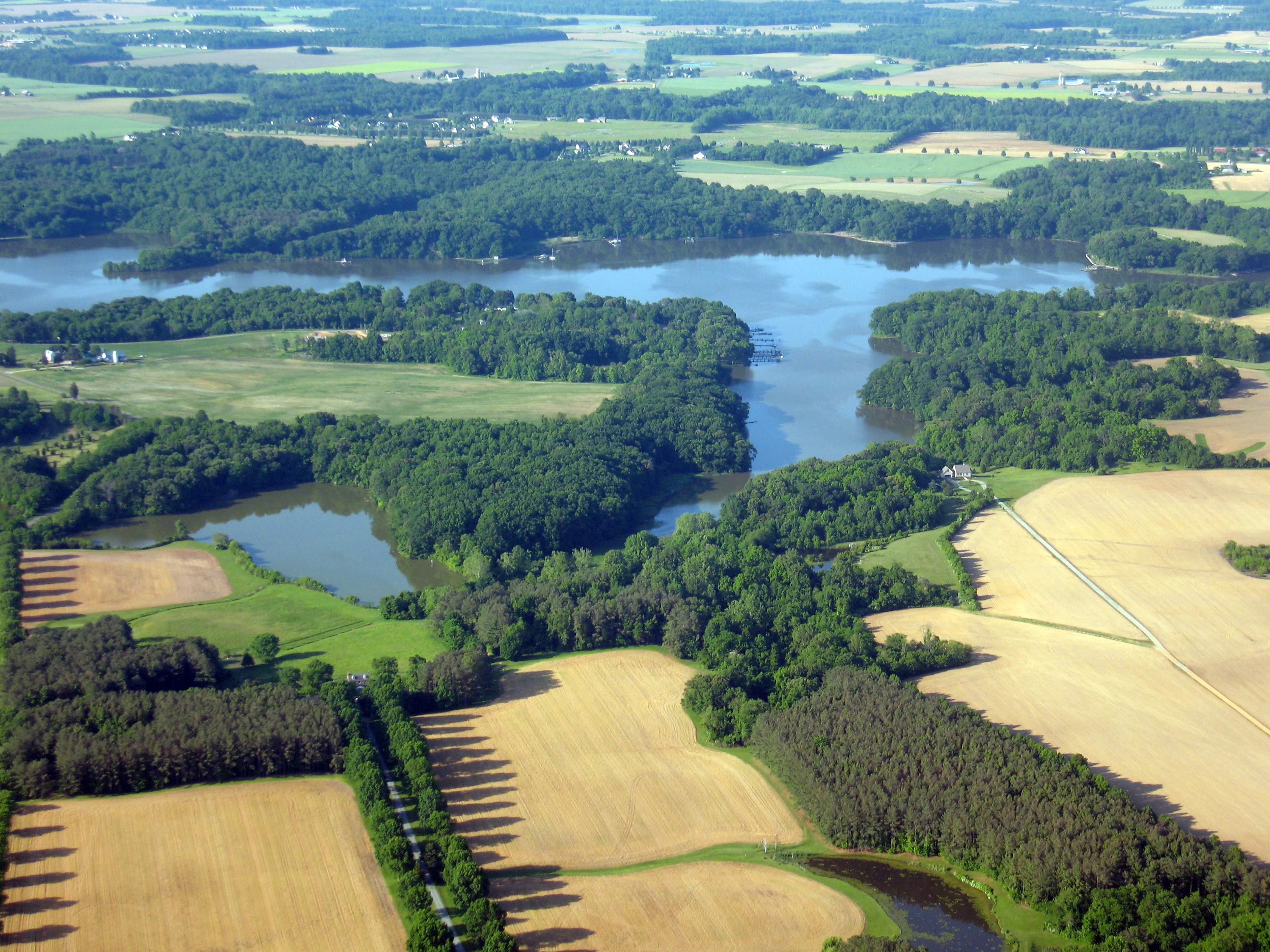 Riparian buffers on Maryland's Eastern Shore