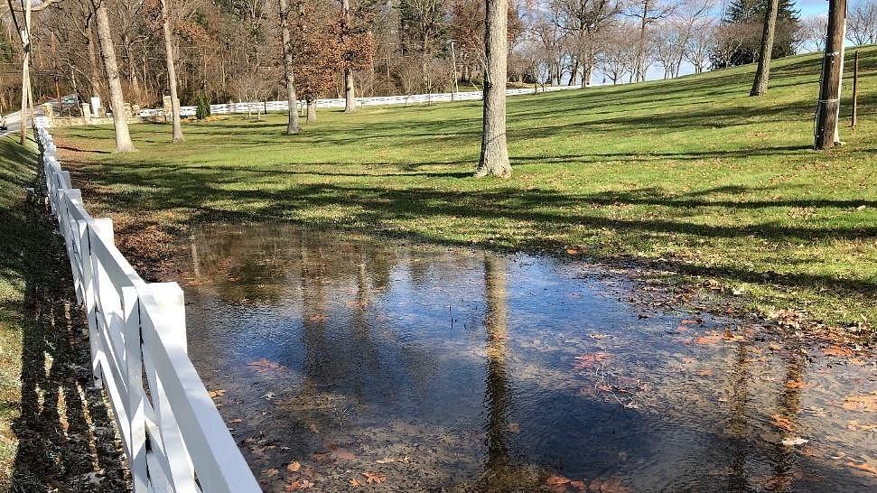 flooded soil under oak trees