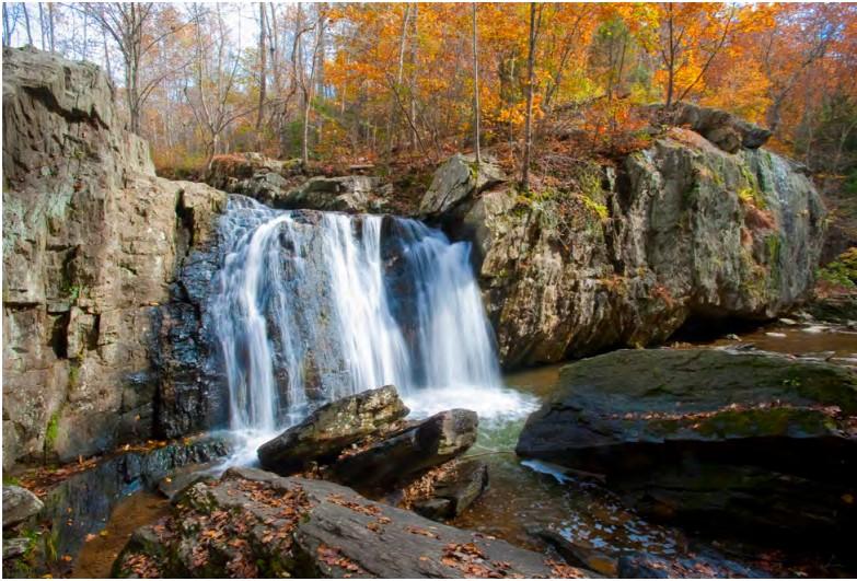 Forested waterfall