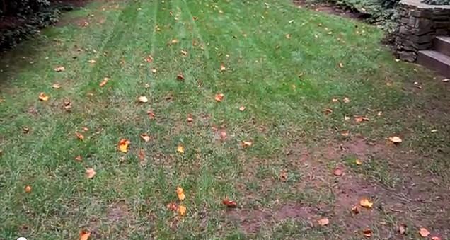 lawn aeration