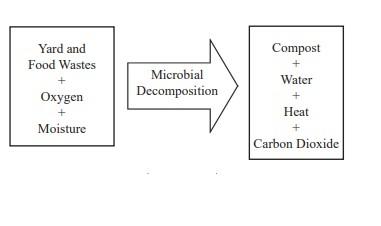 composting infographic