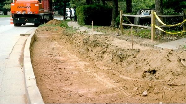 exposed tree roots after trenching