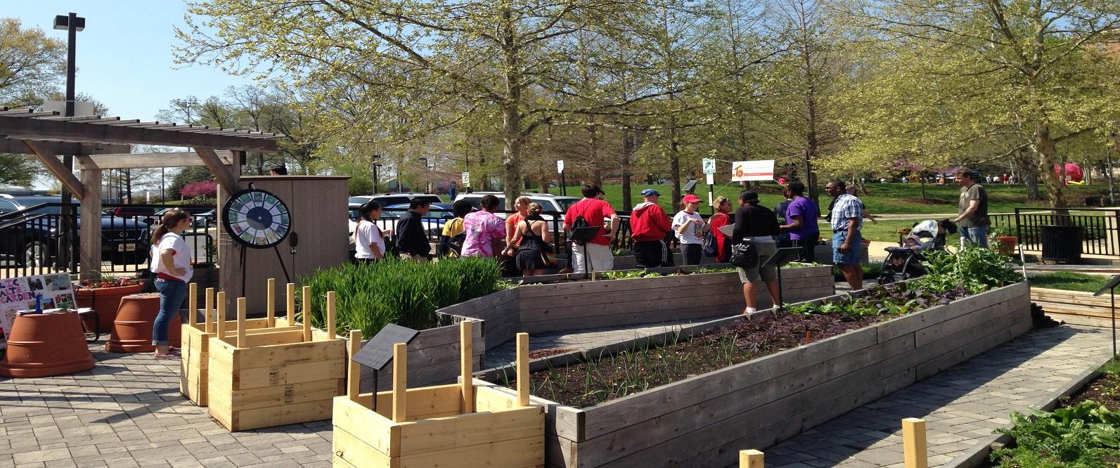 example of a community garden