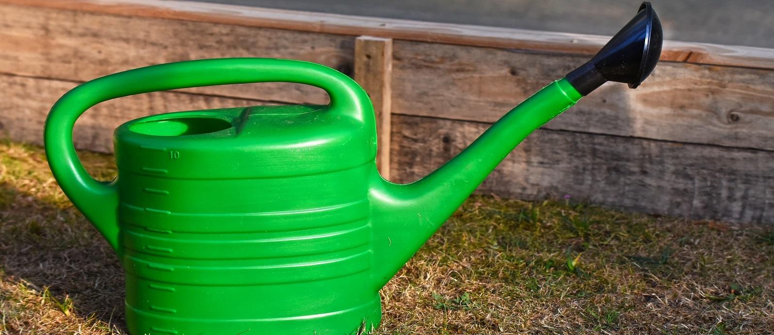 green watering can