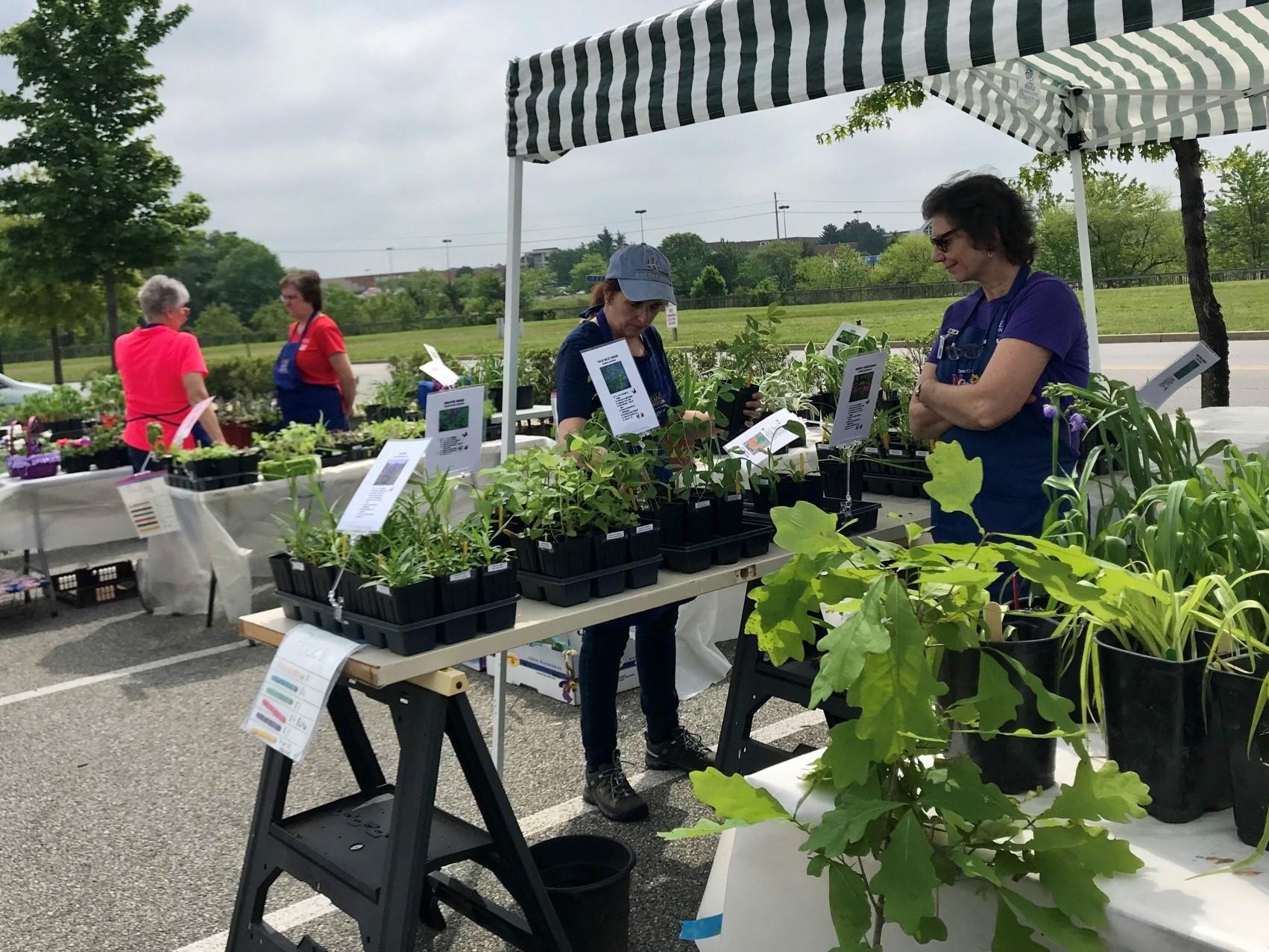 MG Plant Sale