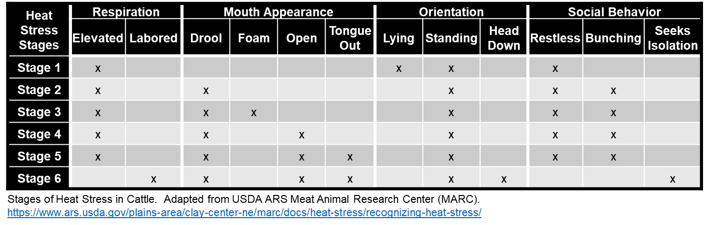 Cattle Heat Stress Stages