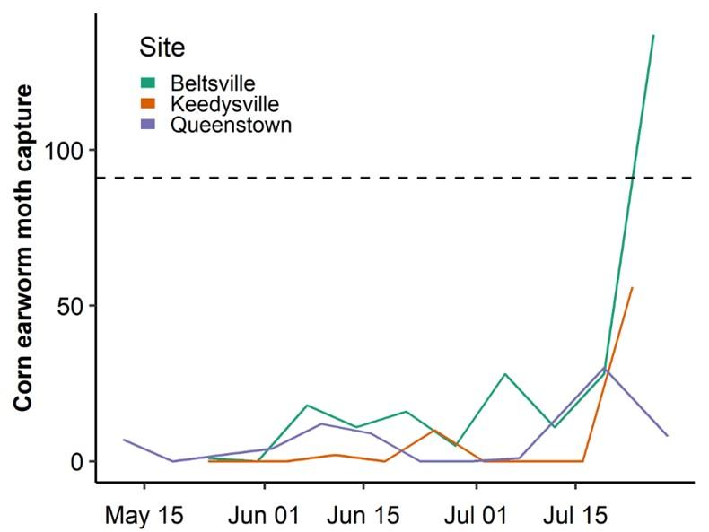 Figure 2. Weekly captures of corn earworm moths using pheromone traps at select sites across the state. Dashed line represents the cutoff for what is considered heavy moth pressure.