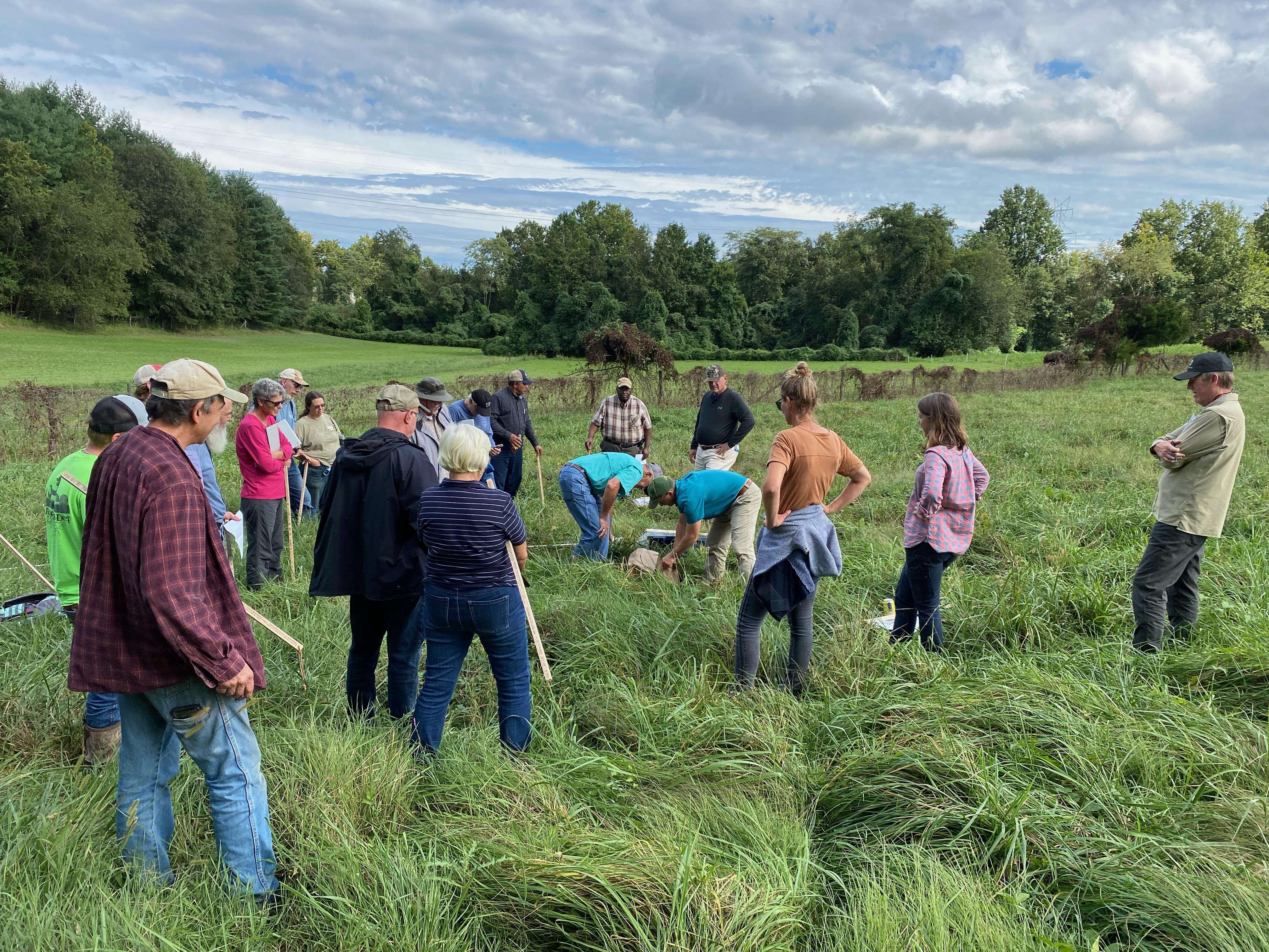 Grazing School