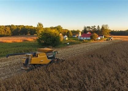 Harvesting corn