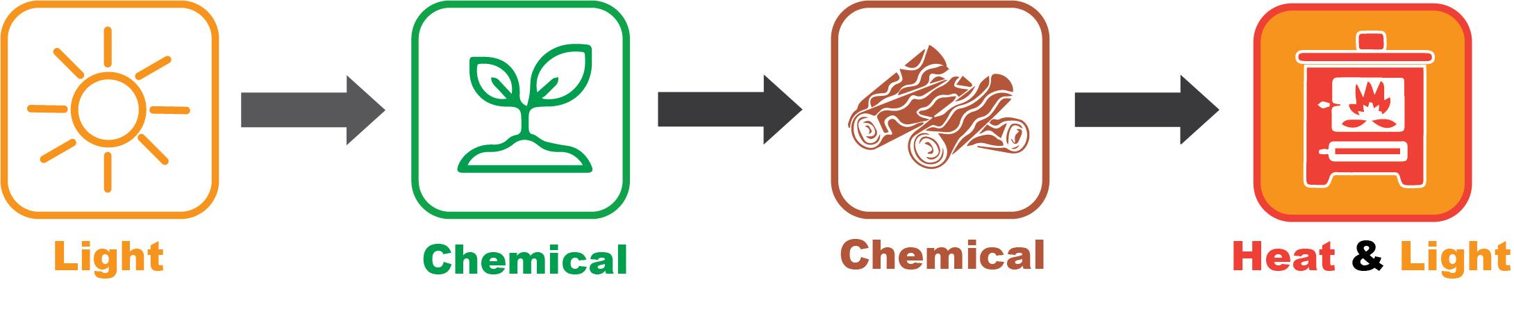 Figure 1. Example of sunlight energy being converted to chemical energy within biomass by photosynthesis, then heat and light energy through combustion in a wood stove