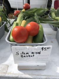 Basket of corn and tomatoes at farmers market for purchase.