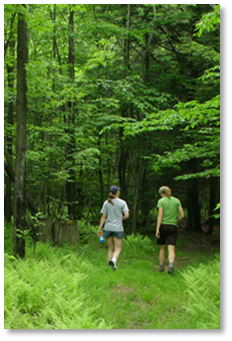 Two hikers in the woods