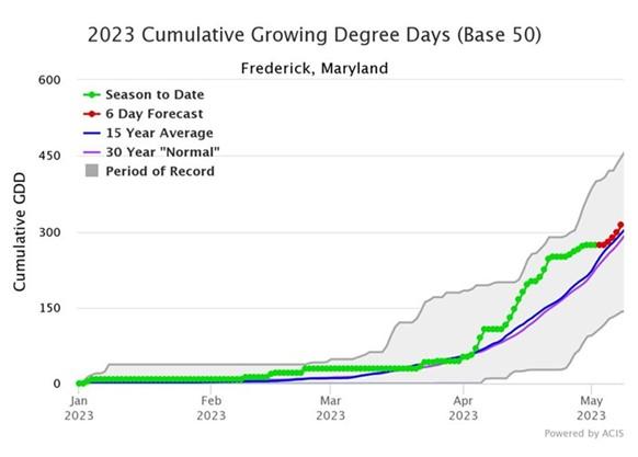 Line graph 