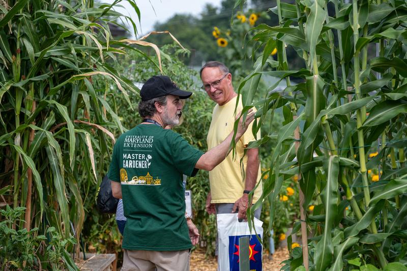 Master Gardener at the UME Learning Garden 