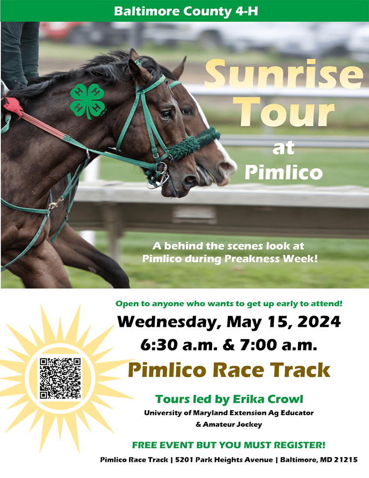 Sunrise Tour at Pimlico - May 15, 2024