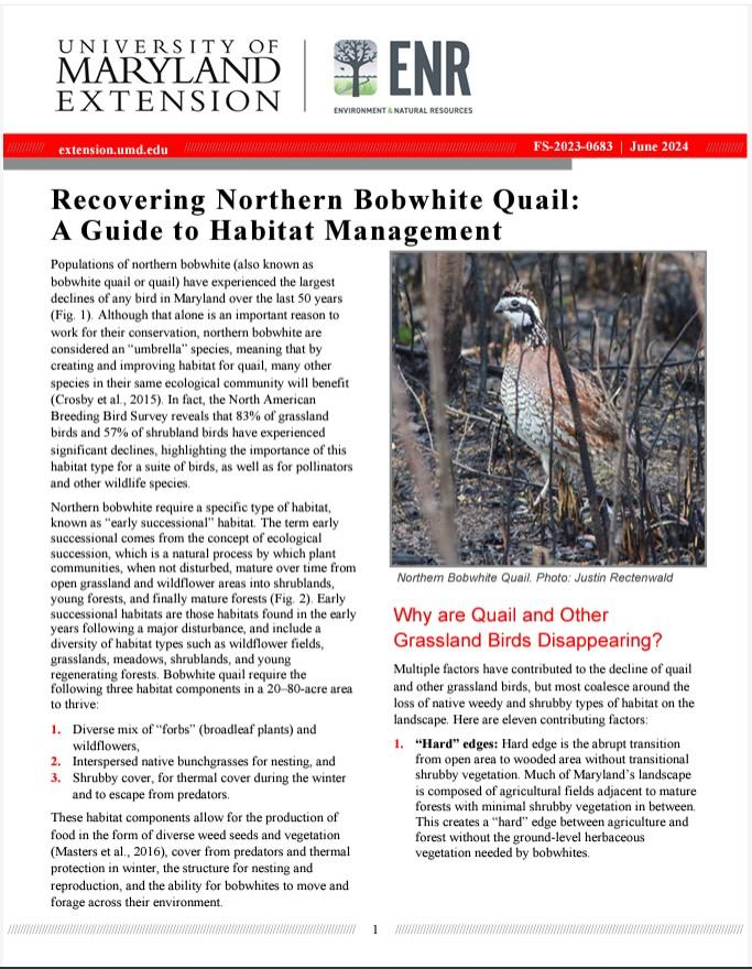 First page of UME publication "Recovering Northern Bobwhite Quail: A Guide to Habitat Management"