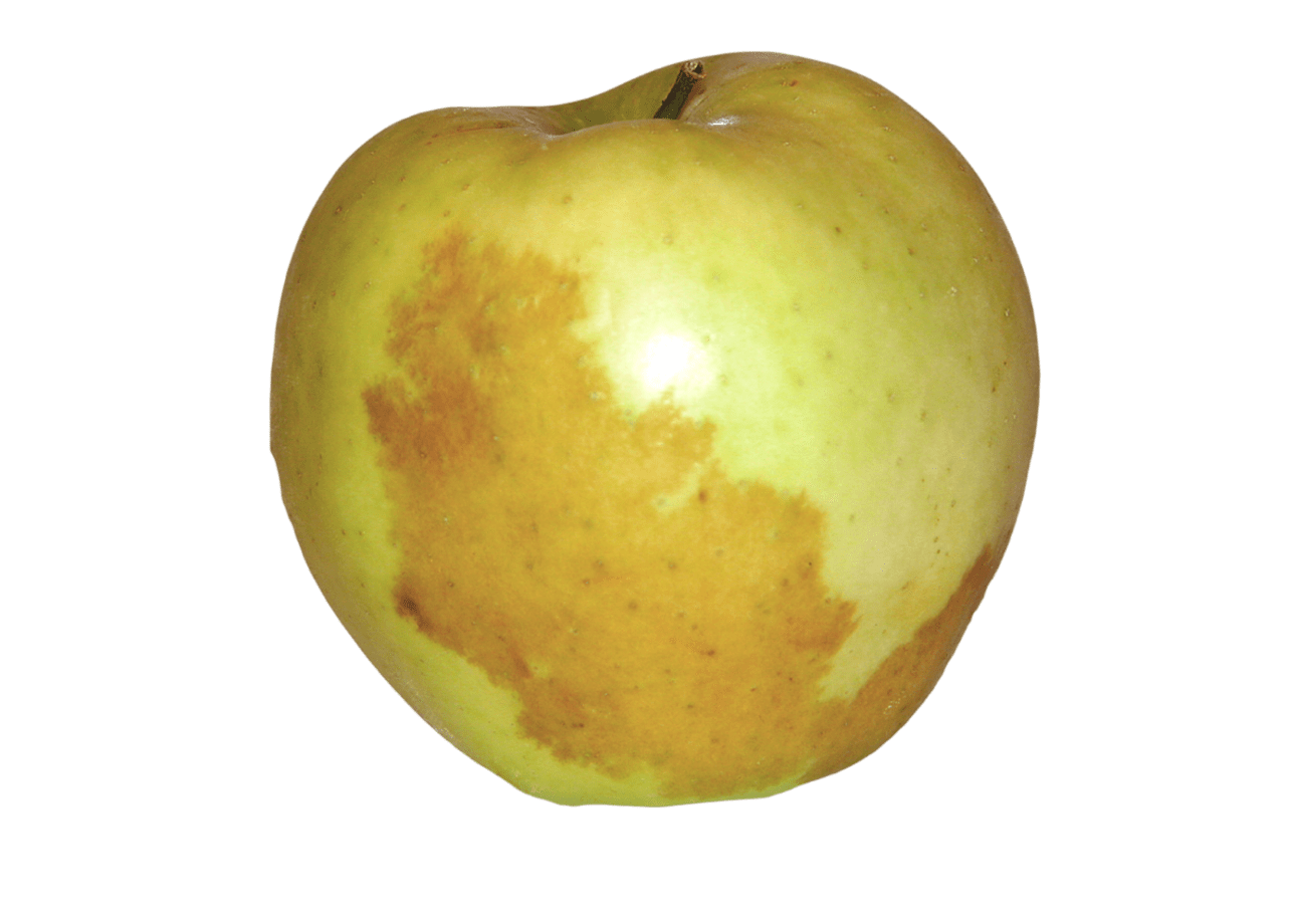 Brown spots on exterior skin of apple