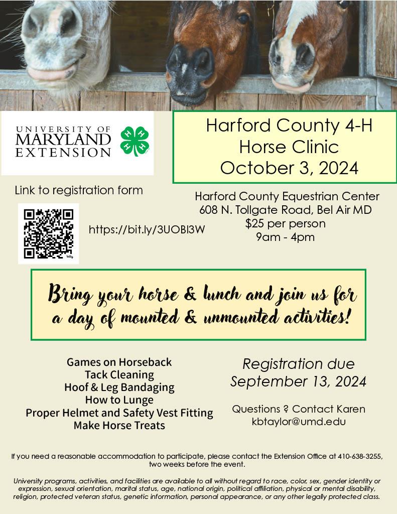 4-H Horse Clinic offered October 3, 2024 with posted activities