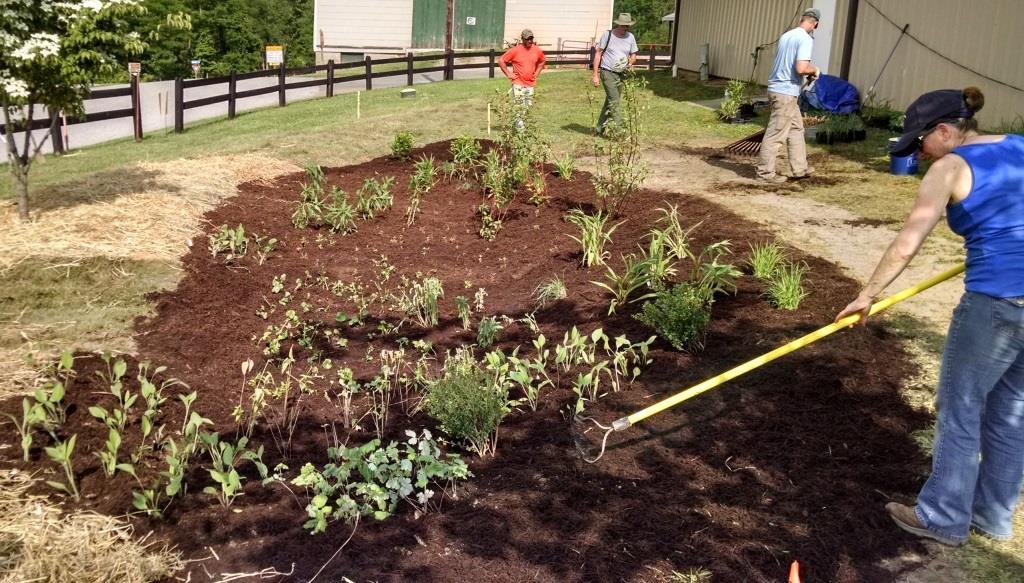 Cecil WSA Fair Hill Rain Garden