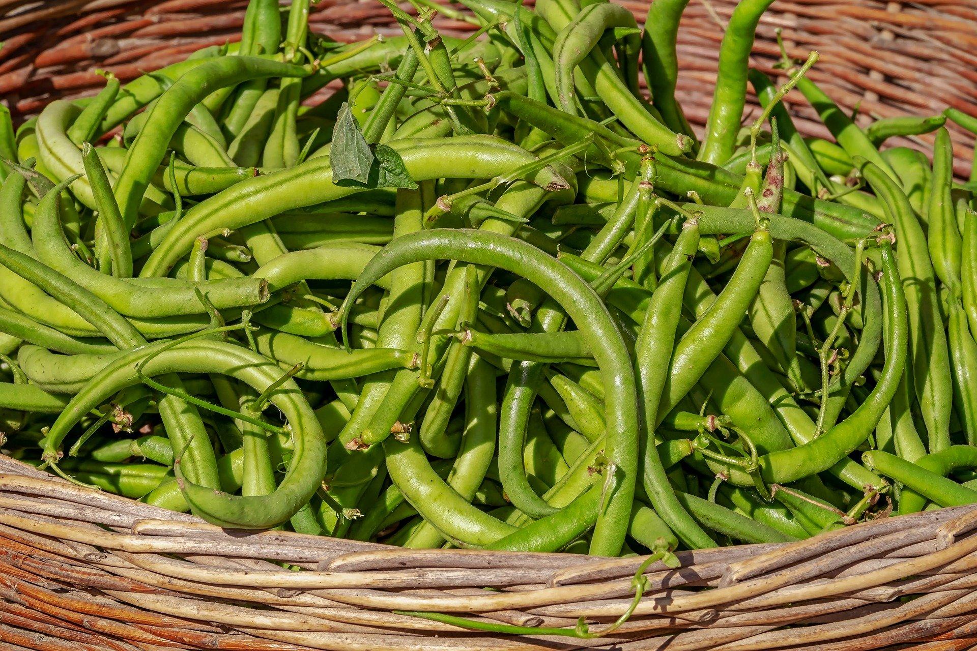 fresh green beans in a basket