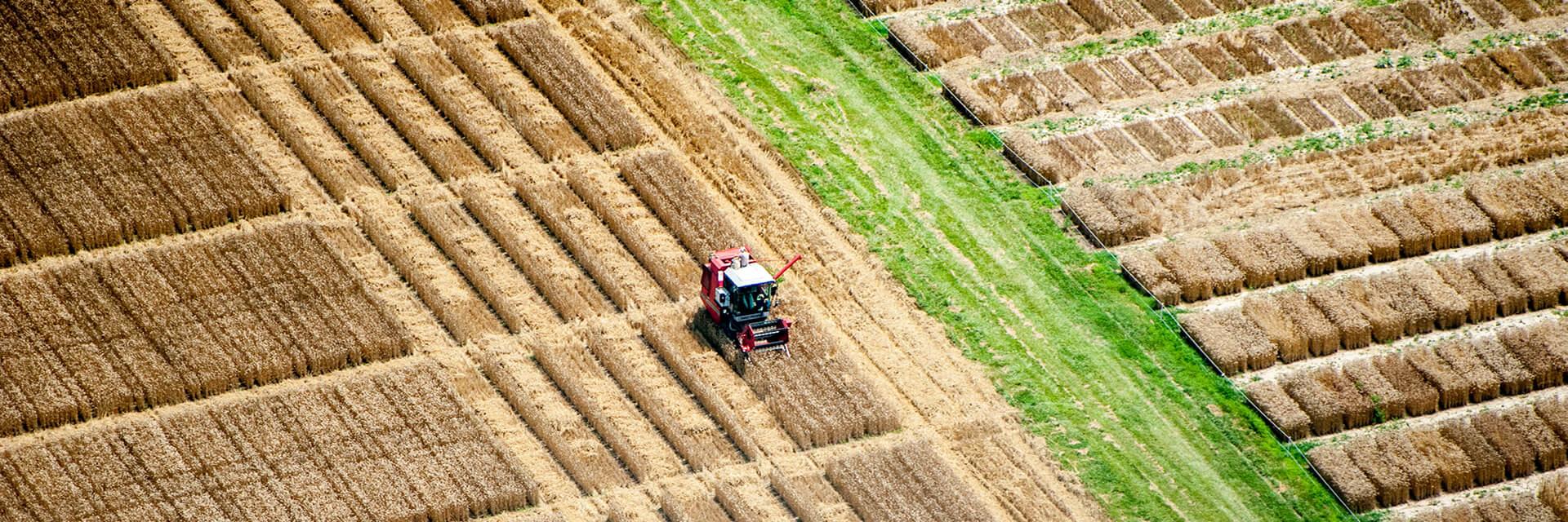 harvest time on the midshore aerials