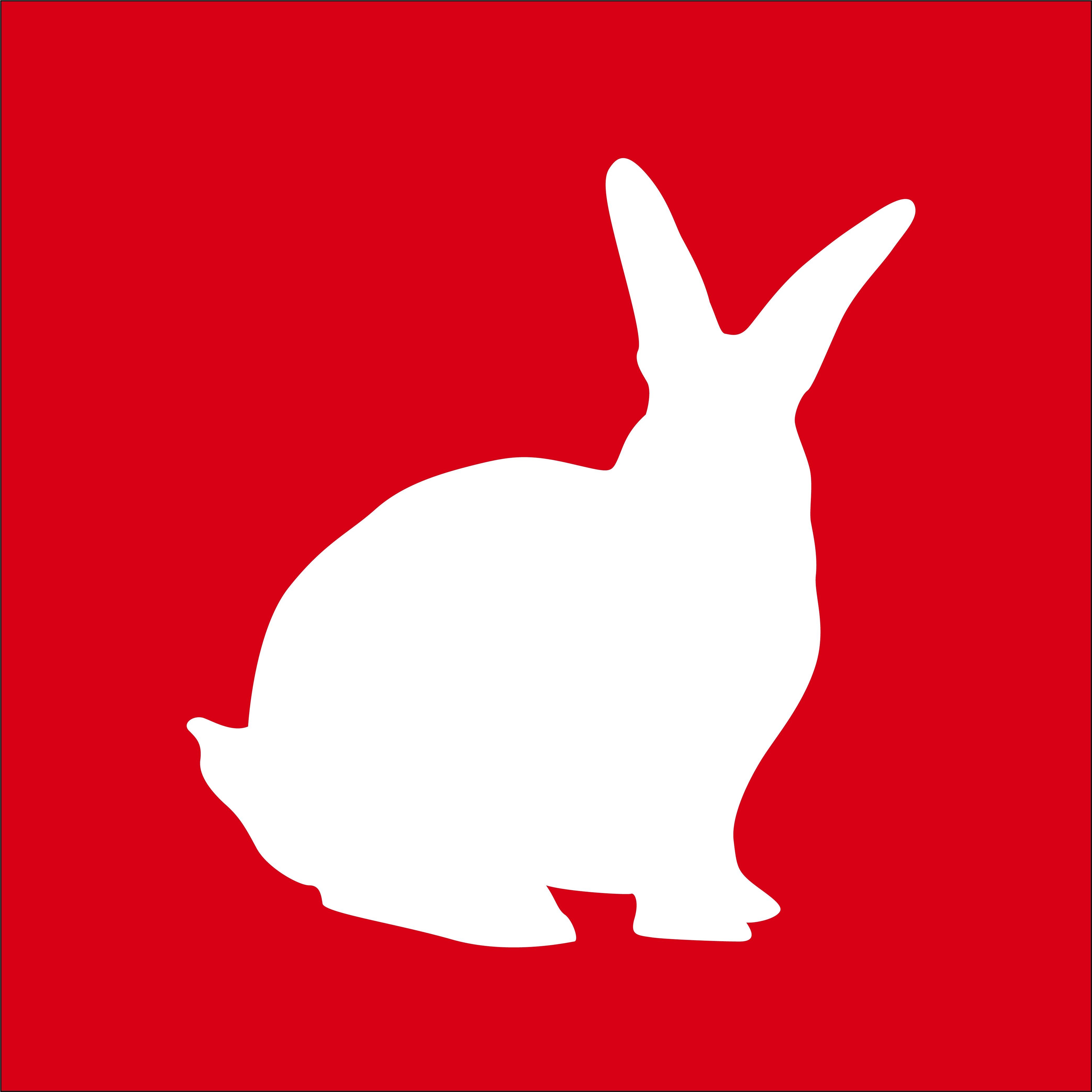 Rabbit Icon