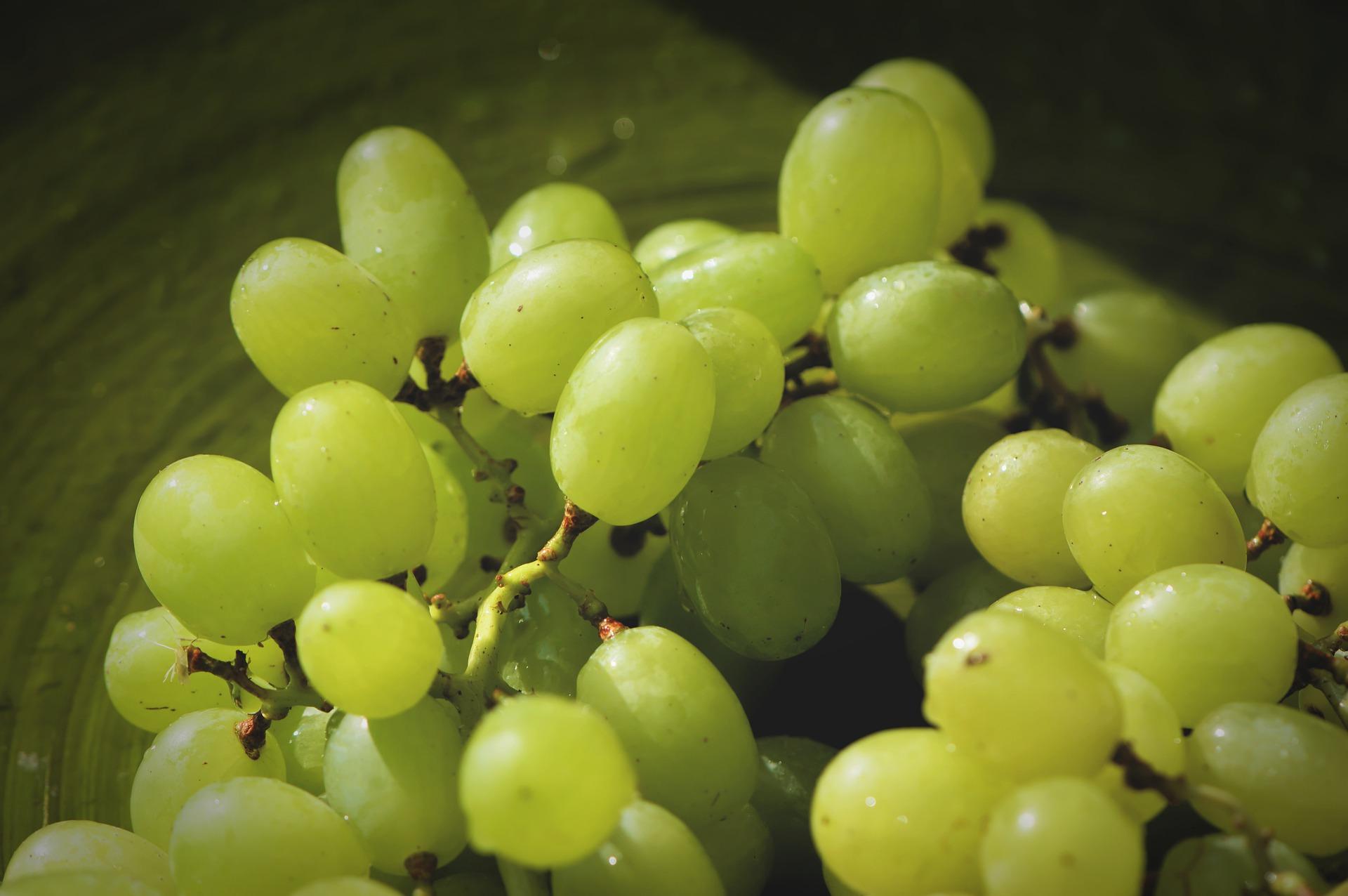 Table grapes