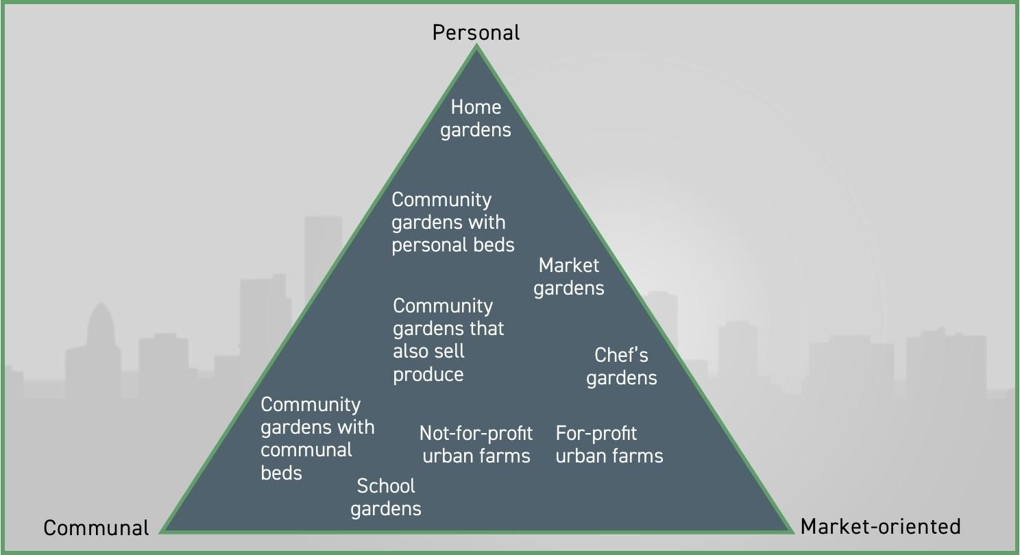 Buisness structure diagram