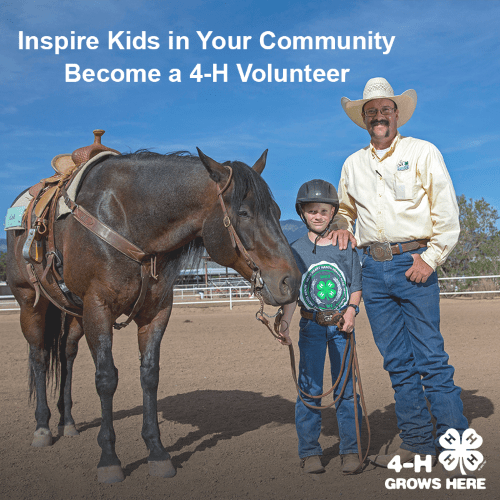 Volunteer for 4-H