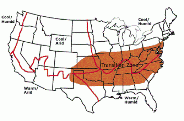 illustration of the transition zone