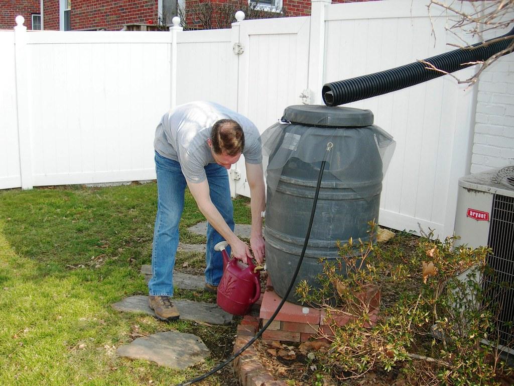 Rain Barrel