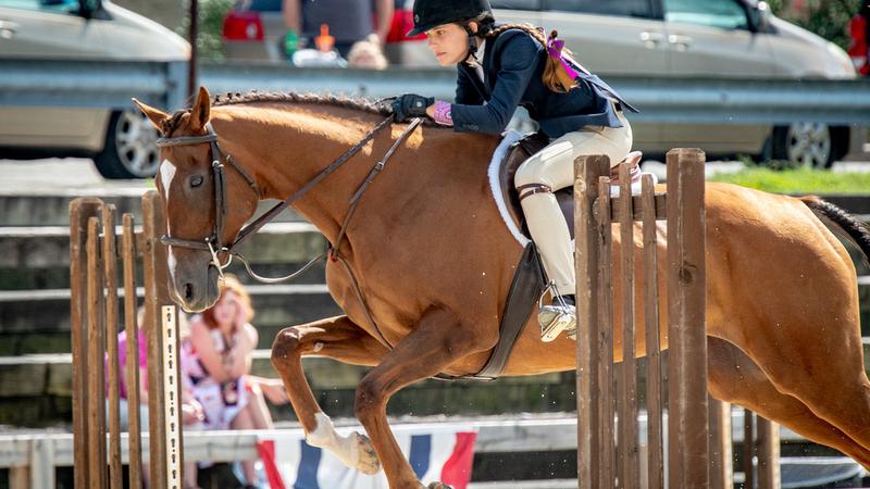 Girl on horse jumping fence