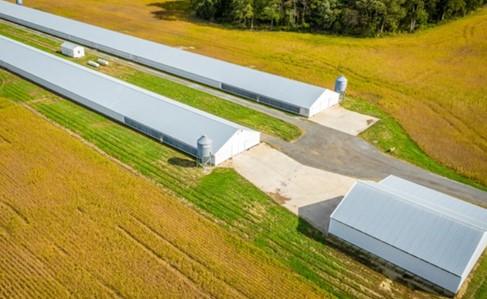 Concrete pads on the back of poultry houses. Image Edwin Remsberg