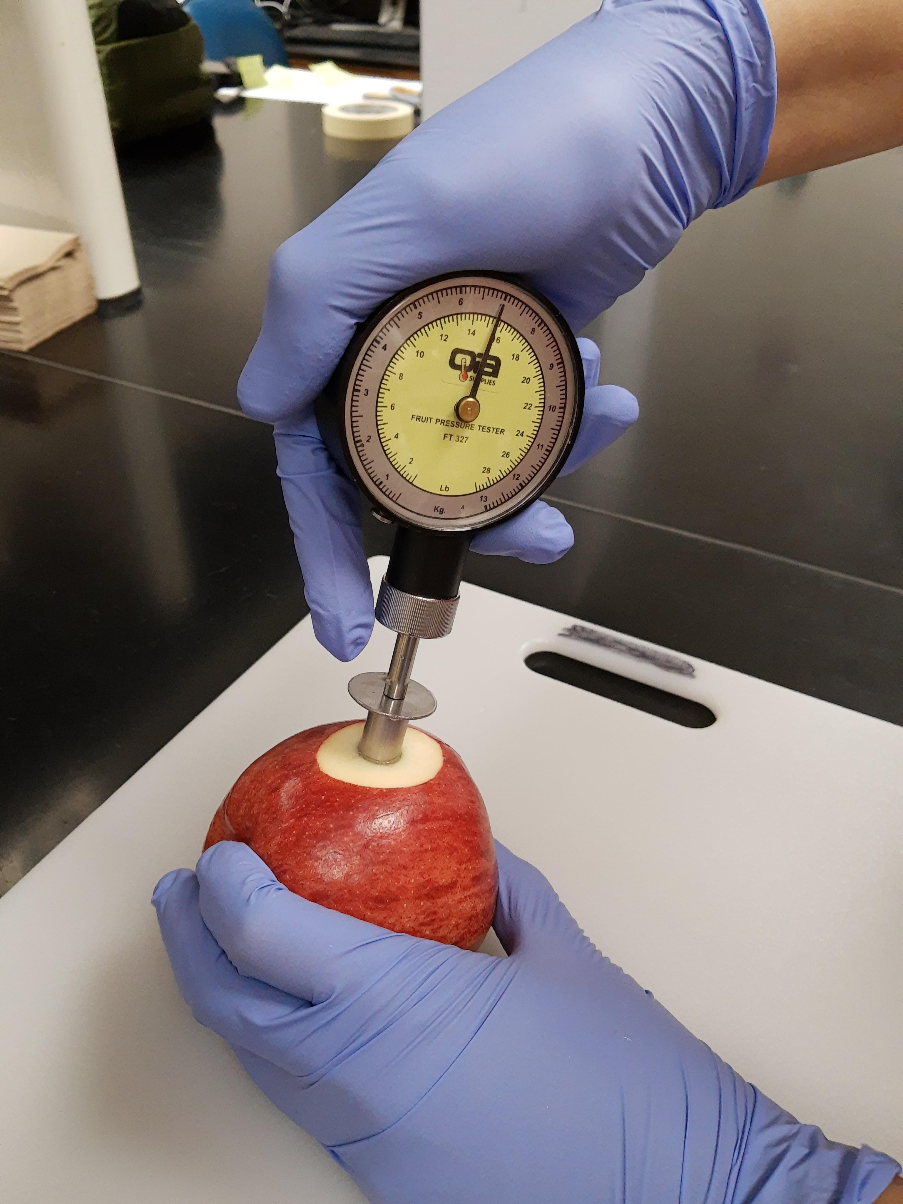 Figure 1. An Effegi firmness tester/penetrometer with a 7/16-inch diameter plunger Photo: Dr. Macarena Farcuh, University of Maryland.