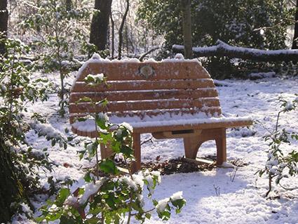 Woodland Garden